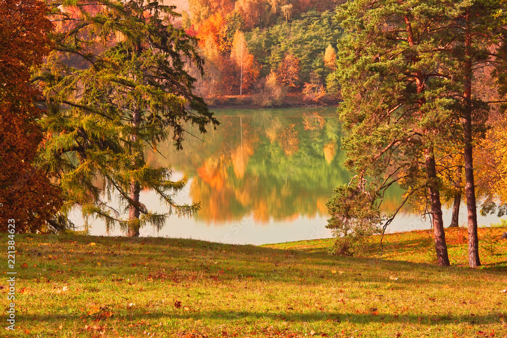 Obraz premium Trees with yellow leaves with reflection in the water in city park on a sunny autumn day, beautiful outdoor theme