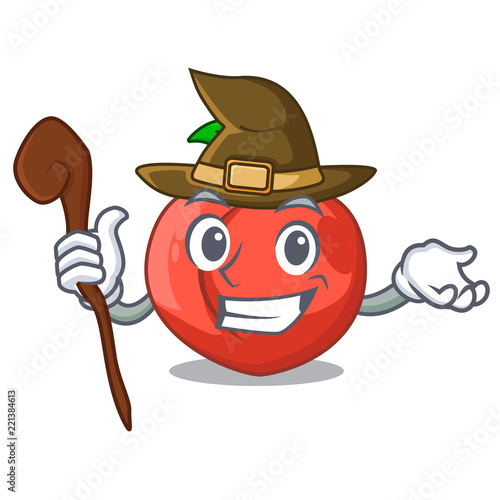 Witch cartoon fresh sweet nectarines in the garden