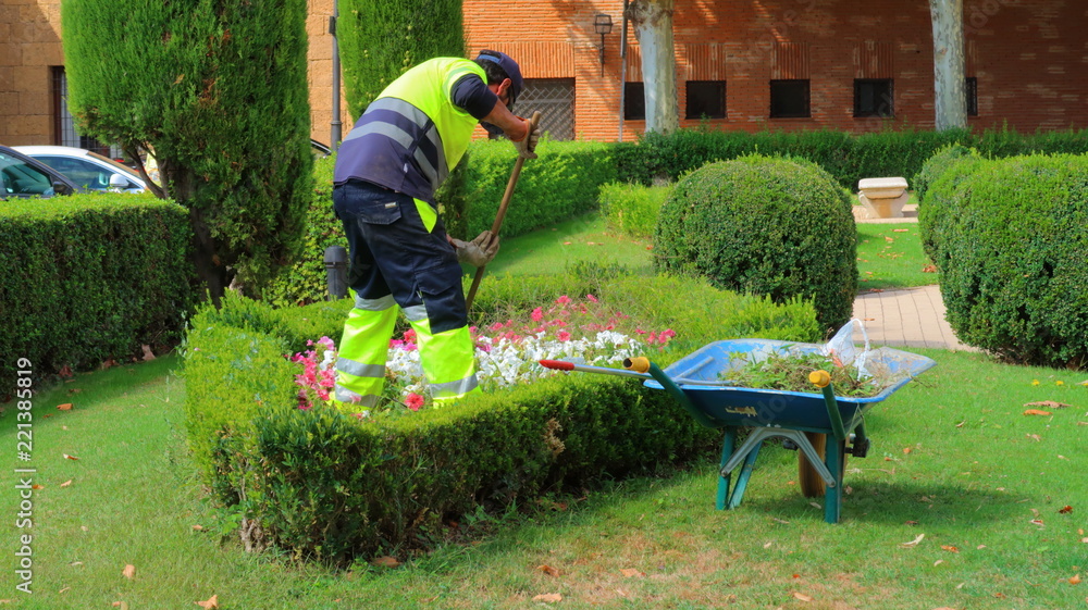 Jardinero con uniforme trabajando cuidando las flores y las plantas