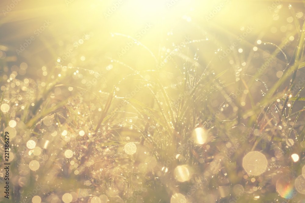 Water drop on grass, bokeh And the sun after the rain. Water drop on grass, bokeh And the sun after the rain.