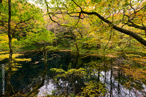 Beautiful autumn lake and forest © leungchopan