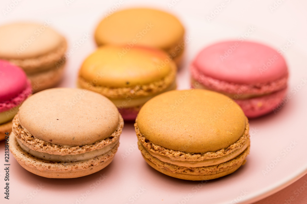 Macaroon in pink plate Macaroon in pink plate