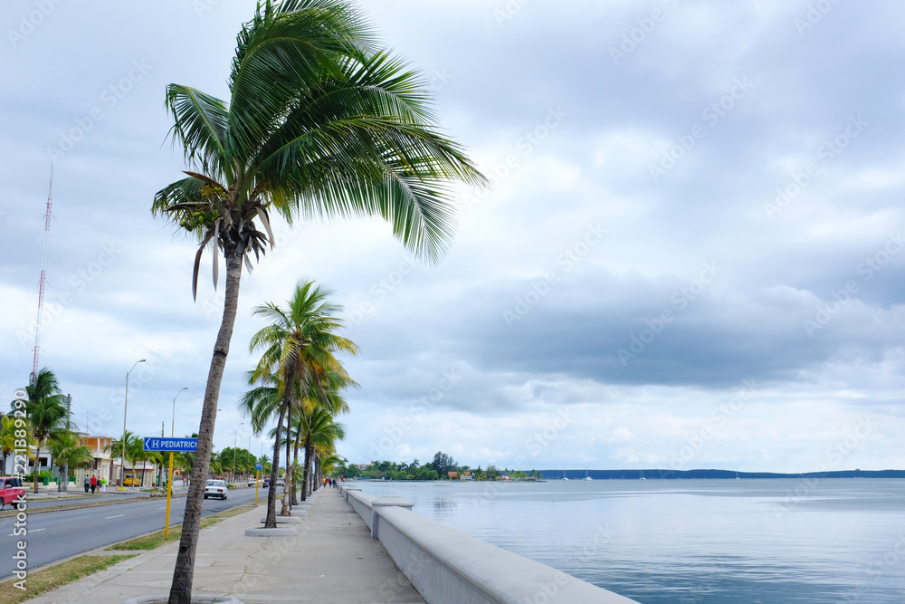 landscape with tropical beach and palm trees in Cienfuegos,  CUBA