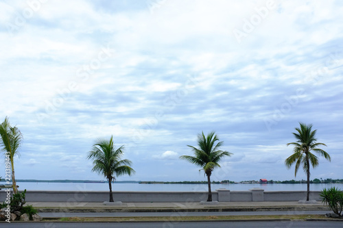 tropical beach with palm trees in Cienfuegos   CUBA