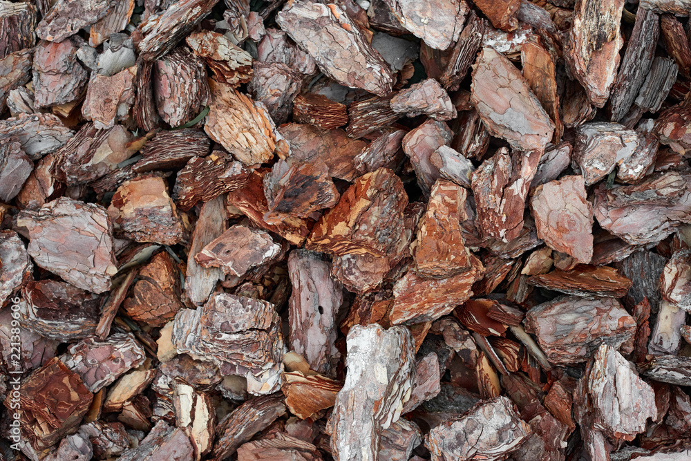 pieces of wood bark for background or texture pieces of wood bark for background or texture
