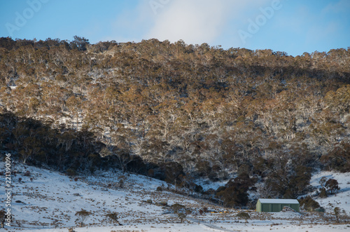 Australian bushland & shed covered in snow