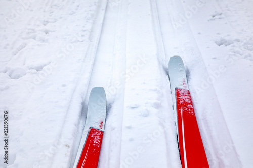 Cross-country skis in winter landscape photo