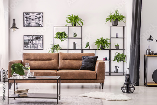 Table in front of leather sofa in white apartment interior with lamp, posters and plants. Real photo