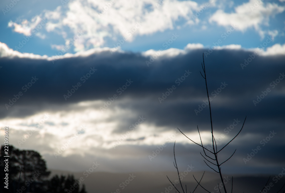 Empty tree branch silhouetted against a cloudy sky Empty tree branch silhouetted against a cloudy sky