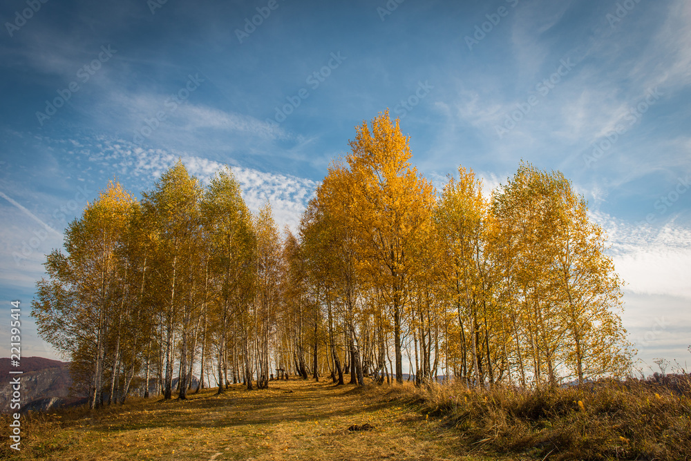 Colorful autumn landscape