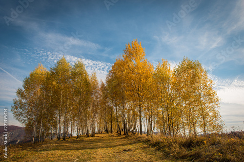 Colorful autumn landscape