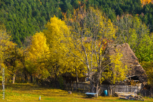 Colorful autumn landscape © salajean