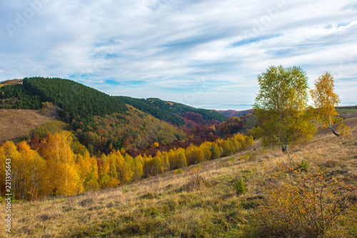 Fototapeta Naklejka Na Ścianę i Meble -  Autumn scene in the mountains