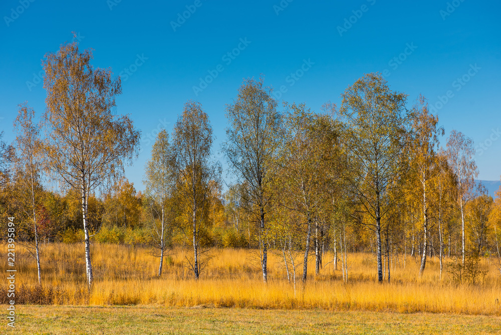 Autumn landscape in Romania