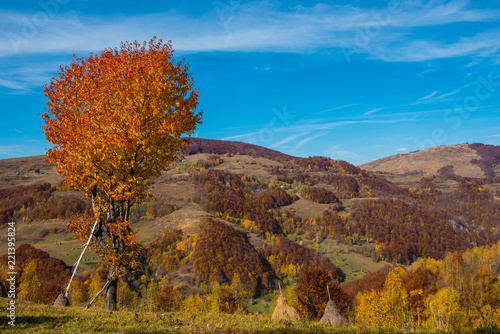 Autumn landscape in Romania