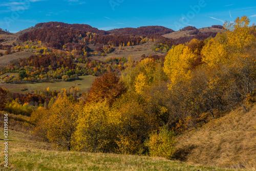 Autumn in Transylvania