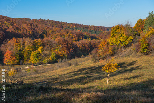 Autumn landscape in Romania