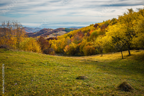 Fototapeta Naklejka Na Ścianę i Meble -  Autumn landscape, colorful forest