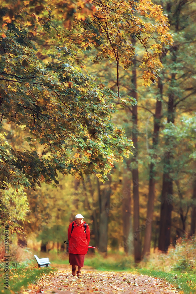 autumn alley in the park / autumn walk in the city park, weekends alone. The concept of calm and autumn freshness among trees and branches with yellow leaves autumn alley in the park / autumn walk in the city park, weekends alone. The concept of calm and autumn freshness among trees and branches with yellow leaves