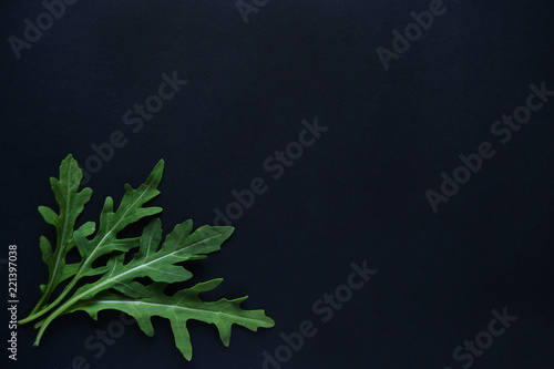 Ruccola on the black background