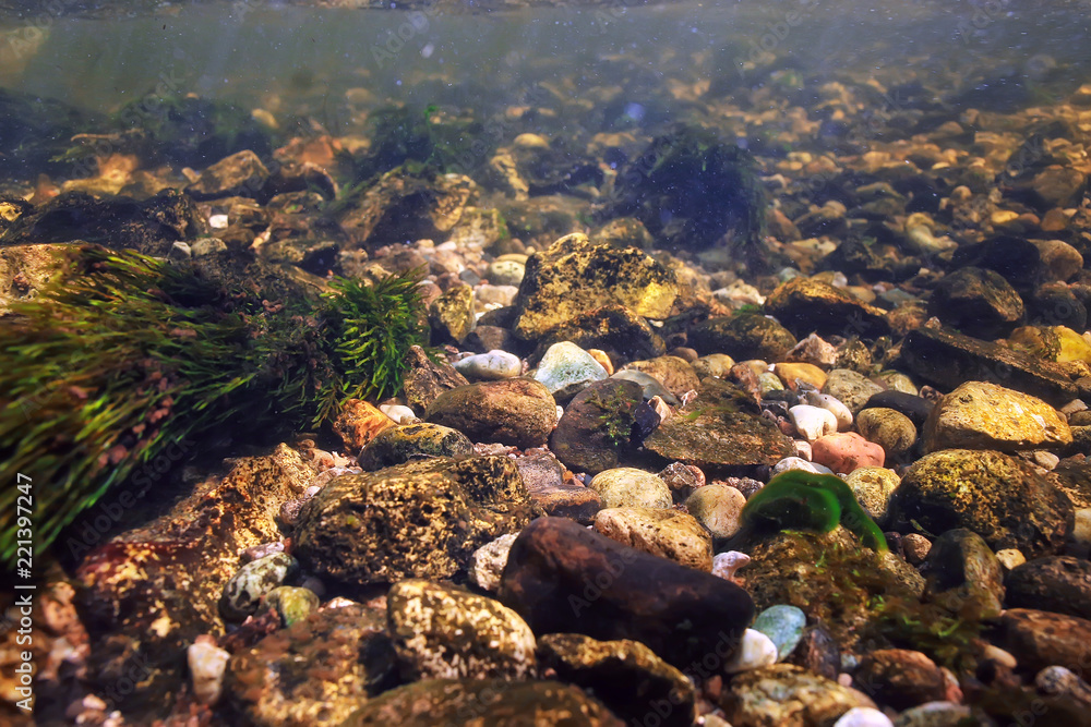underwater mountain clear river / underwater photo in a freshwater river, fast current, air bubbles by water, underwater ecosystem landscape underwater mountain clear river / underwater photo in a freshwater river, fast current, air bubbles by water, underwater ecosystem landscape