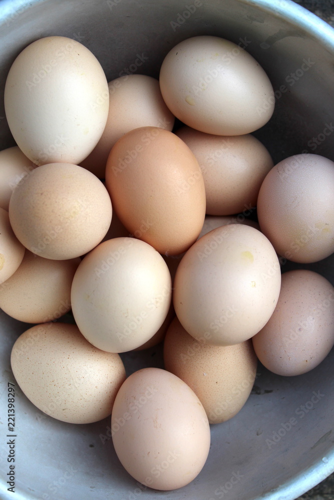 Freshly laid pink eggs close up. organic bio food Freshly laid pink eggs close up. organic bio food