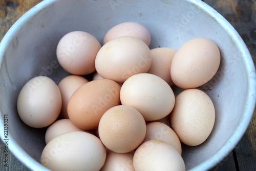 Freshly laid pink eggs close up. organic bio food