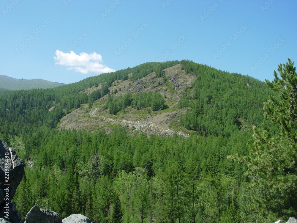 Naklejka premium Altai mountains