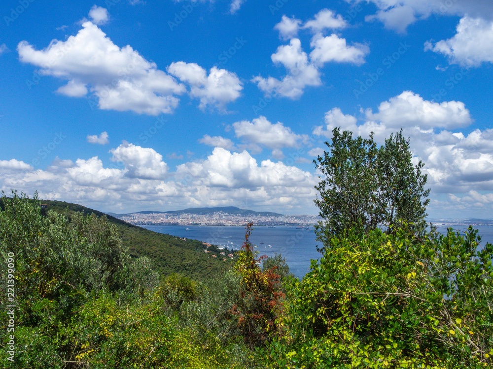 Obraz premium OLYMPUS DIGITAL CAMERA