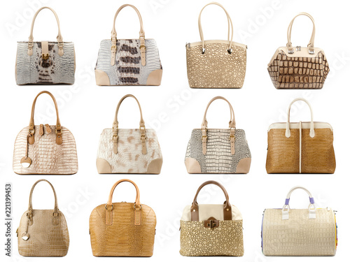 Handbags collection isolated on white background.Front view.
