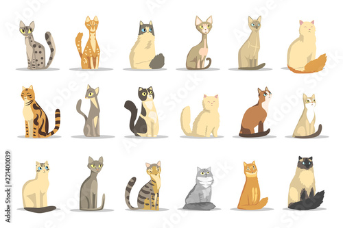 Cat different breeds set, cute pet animal vector Illustrations