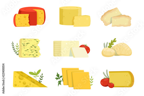 Different types of cheese pieces, popular kind of cheese vector Illustrations