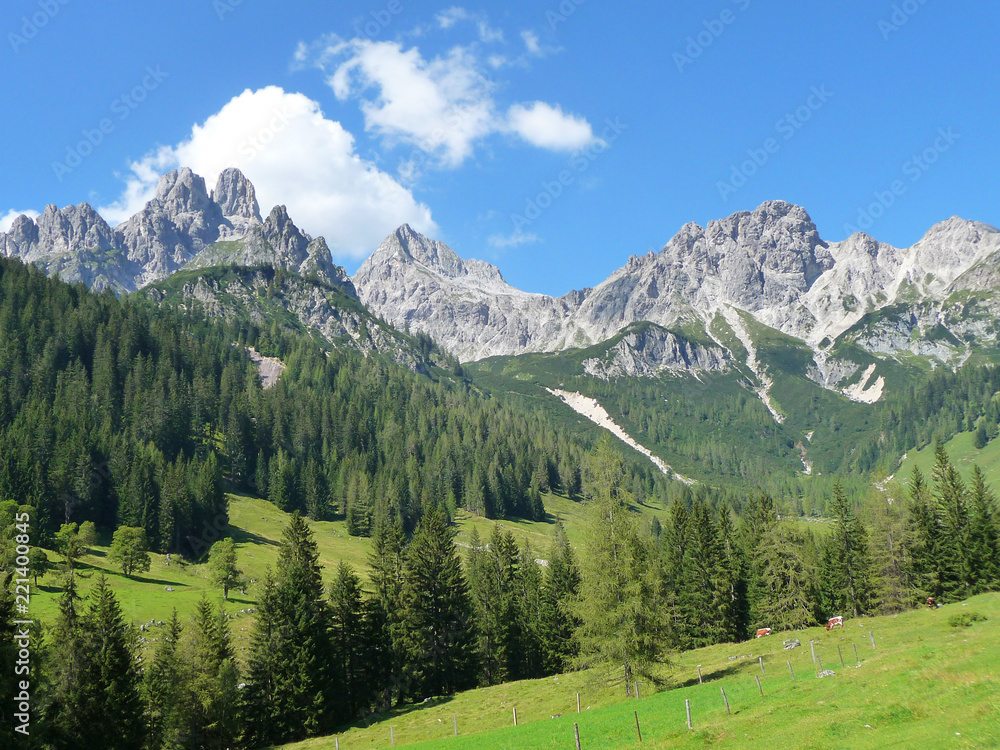 Dachstein
Bergspitzen des Dachsteinmassivs und blauer Himmel mit weißen Wolken.
