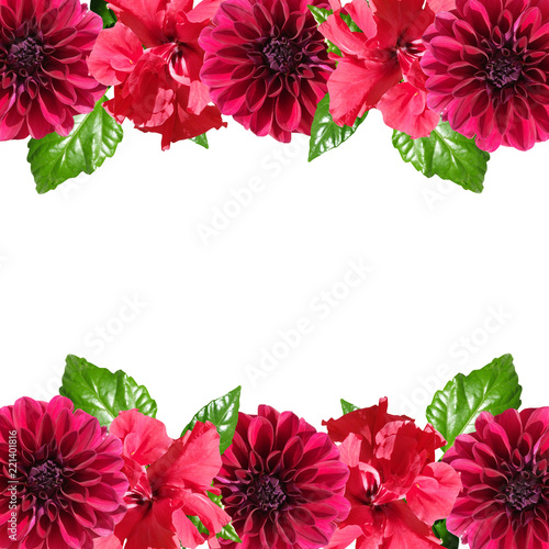 Fototapeta Naklejka Na Ścianę i Meble -  Beautiful floral background of hibiscus and dahlias
 