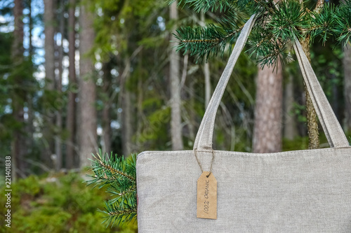 Organic eco shopping bag. C...
