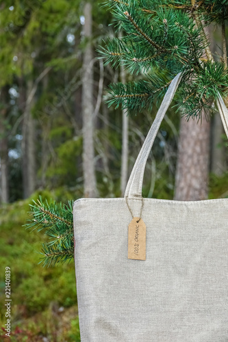 Organic eco shopping bag. C...