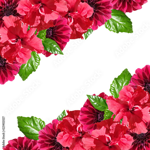 Fototapeta Naklejka Na Ścianę i Meble -  Beautiful floral background of hibiscus and dahlias
 