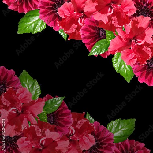 Fototapeta Naklejka Na Ścianę i Meble -  Beautiful floral background of hibiscus and dahlias
 