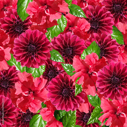 Fototapeta Naklejka Na Ścianę i Meble -  Beautiful floral background of hibiscus and dahlias
 