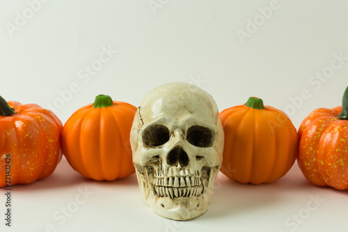 The Halloween  on white background image.