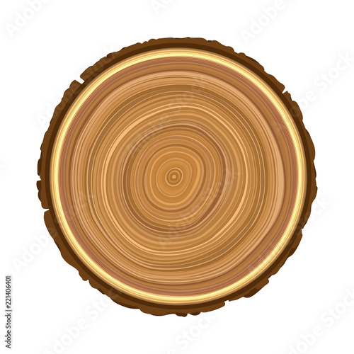 texture of sawn wood brown object tree