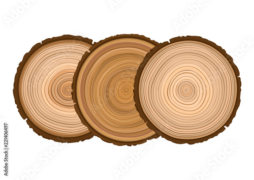 Fototapeta Naklejka Na Ścianę i Meble -  three texture of sawn wood brown object tree