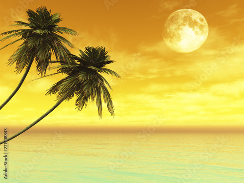 Fototapeta Naklejka Na Ścianę i Meble -  palms on the island against the sunset