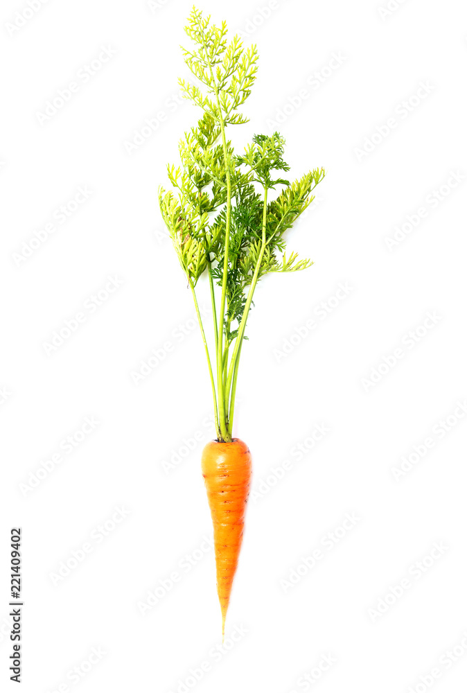 Fresh ripe carrots on a white background Fresh ripe carrots on a white background