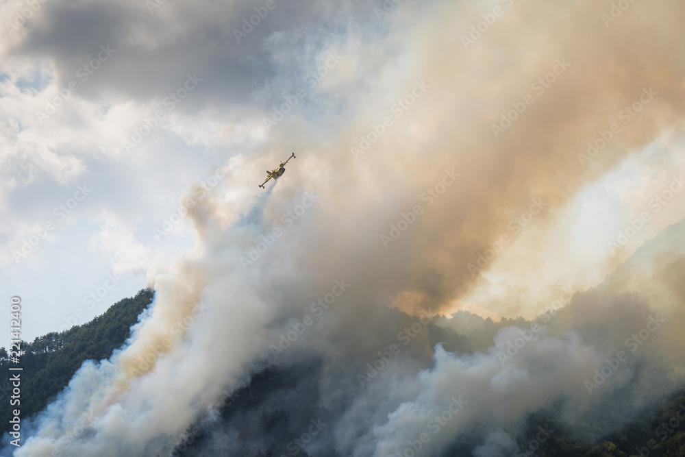 Aerial firefighting with Canadair plane on a big wildfire.
Firemen on a water bomber aircraft fighting flames in forest. Aerial firefighting with Canadair plane on a big wildfire.
Firemen on a water bomber aircraft fighting flames in forest.