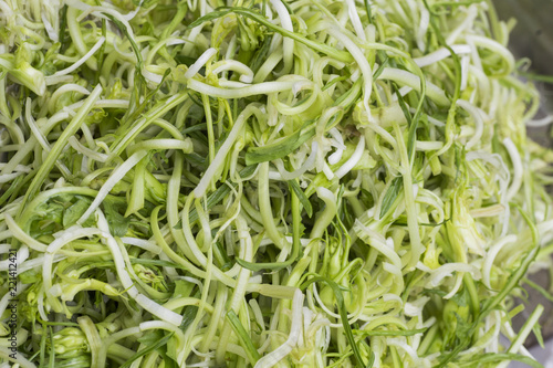 Puntarelle with anchovies in Rome