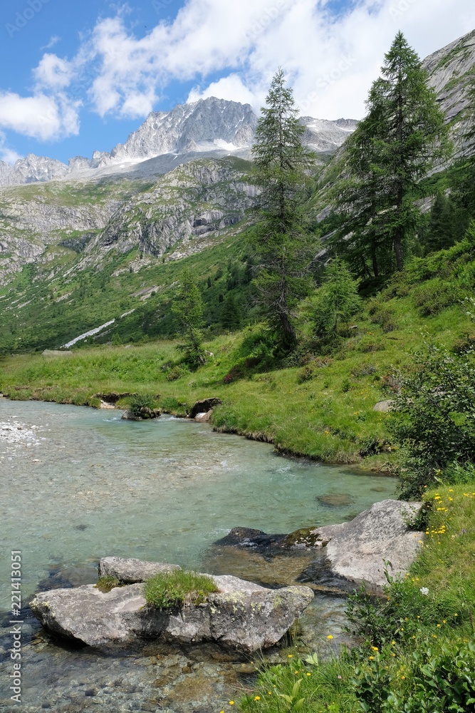 Fototapeta premium paesaggio montagna fiume natura acqua prato alberi erba pascolo cime neve rocce riva ruscello