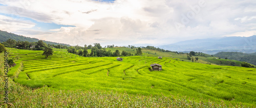 Terraced Rice Field in Mae Cham district. Chiangmai province, Thailand.