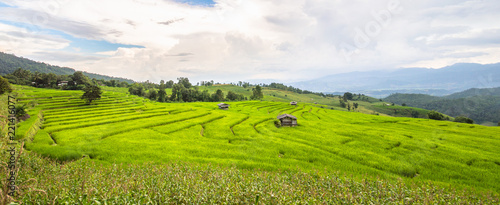 Terraced Rice Field in Mae Cham district. Chiangmai province  Thailand.