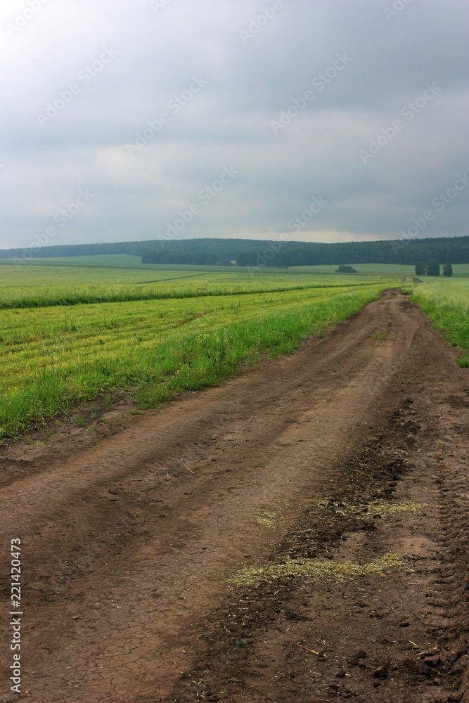 A deserted road in the field